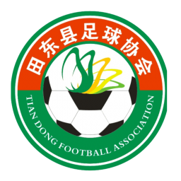 百色市田东县队首发阵容