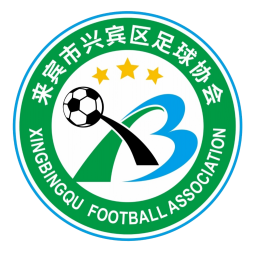 来宾市兴宾区队首发阵容