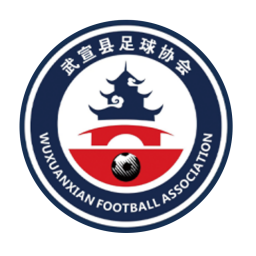 来宾市武宣县队首发阵容